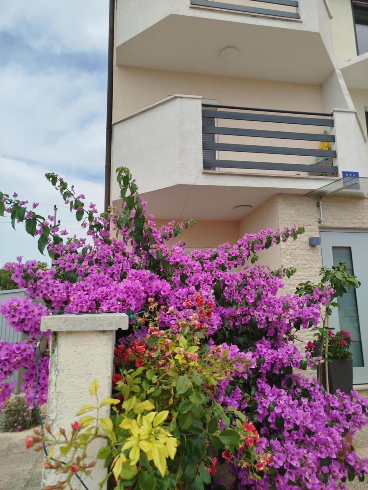Apartmán Smokvica Savudrija Exteriér fotografie